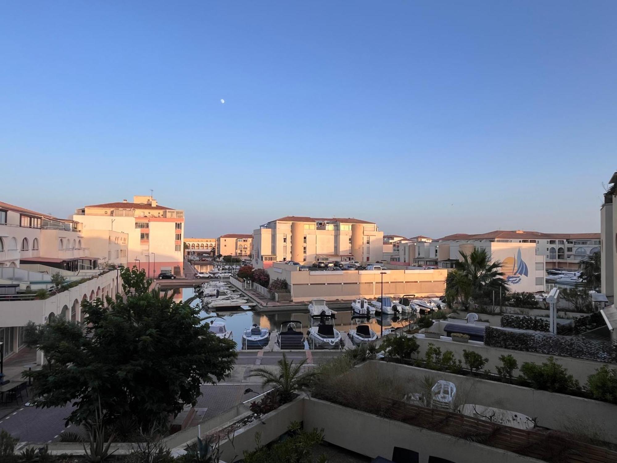 Superbe Proche De La Sete